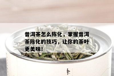 普洱茶怎么陈化，掌握普洱茶陈化的技巧，让你的茶叶更美味！