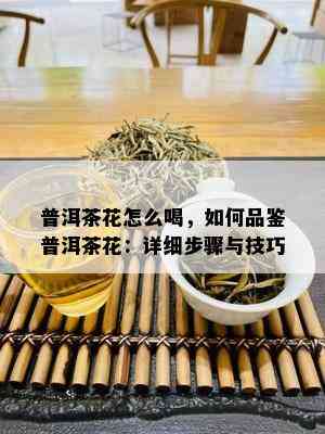 普洱茶花怎么喝，如何品鉴普洱茶花：详细步骤与技巧