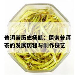 普洱茶历史杨凯：探索普洱茶的发展历程与制作技艺