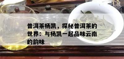 普洱茶杨凯，探秘普洱茶的世界：与杨凯一起品味云南的韵味