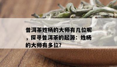 普洱茶姓杨的大师有几位呢，探寻普洱茶的起源：姓杨的大师有多位？