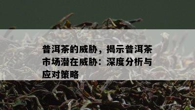 普洱茶的威胁，揭示普洱茶市场潜在威胁：深度分析与应对策略