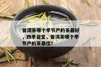 普洱茶哪个季节产的茶更好，四季皆宜，普洱茶哪个季节产的茶更佳？