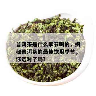 普洱茶是什么季节喝的，揭秘普洱茶的更佳饮用季节，你选对了吗？