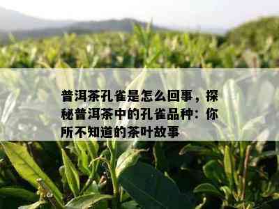 普洱茶孔雀是怎么回事，探秘普洱茶中的孔雀品种：你所不知道的茶叶故事