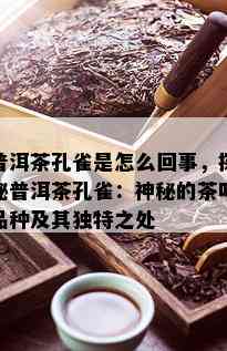 普洱茶孔雀是怎么回事，探秘普洱茶孔雀：神秘的茶叶品种及其独特之处