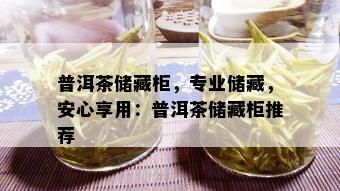 普洱茶储藏柜，专业储藏，安心享用：普洱茶储藏柜推荐