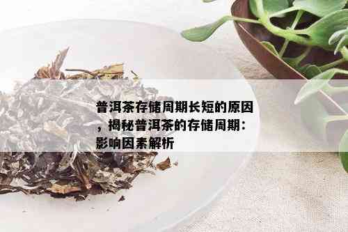 普洱茶存储周期长短的原因，揭秘普洱茶的存储周期：影响因素解析