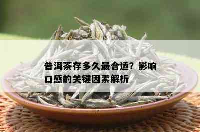 普洱茶存多久最合适？影响口感的关键因素解析