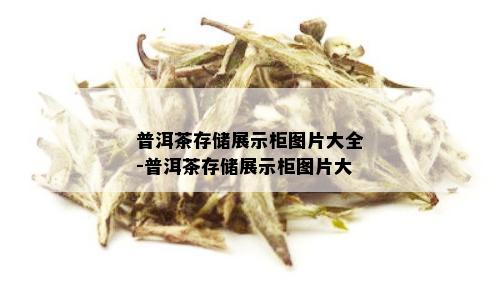 普洱茶存储展示柜图片大全-普洱茶存储展示柜图片大