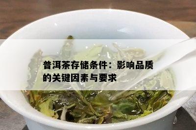 普洱茶存储条件：影响品质的关键因素与要求