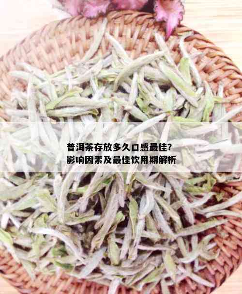 普洱茶存放多久口感更佳？影响因素及更佳饮用期解析