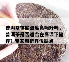 普洱茶存储温度高吗好吗，普洱茶是否适合在高温下储存？专家解析其优缺点