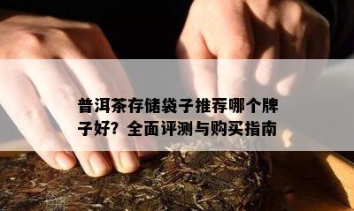 普洱茶存储袋子推荐哪个牌子好？全面评测与购买指南