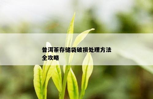 普洱茶存储袋破损处理方法全攻略