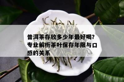 普洱茶存放多少年更好喝？专业解析茶叶保存年限与口感的关系