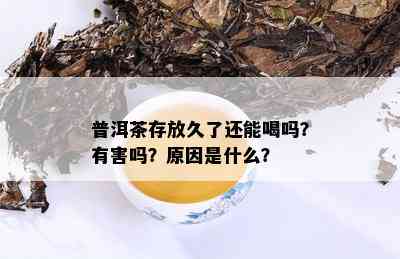 普洱茶存放久了还能喝吗？有害吗？原因是什么？