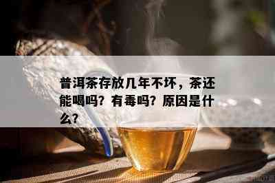 普洱茶存放几年不坏，茶还能喝吗？有吗？原因是什么？