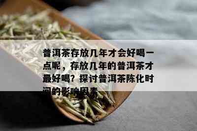 普洱茶存放几年才会好喝一点呢，存放几年的普洱茶才更好喝？探讨普洱茶陈化时间的影响因素