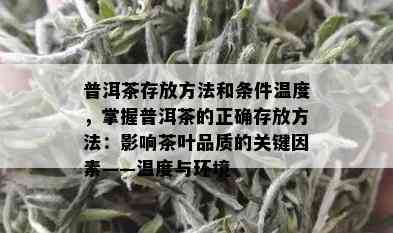 普洱茶存放方法和条件温度，掌握普洱茶的正确存放方法：影响茶叶品质的关键因素——温度与环境