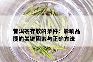 普洱茶存放的条件：影响品质的关键因素与正确方法