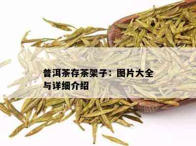 普洱茶存茶架子：图片大全与详细介绍