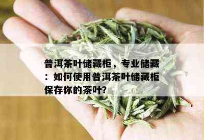 普洱茶叶储藏柜，专业储藏：如何使用普洱茶叶储藏柜保存你的茶叶？