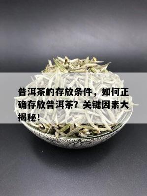 普洱茶的存放条件，如何正确存放普洱茶？关键因素大揭秘！