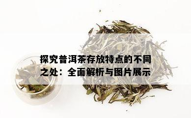 探究普洱茶存放特点的不同之处：全面解析与图片展示