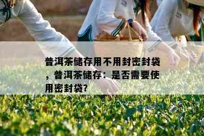 普洱茶储存用不用封密封袋，普洱茶储存：是否需要使用密封袋？