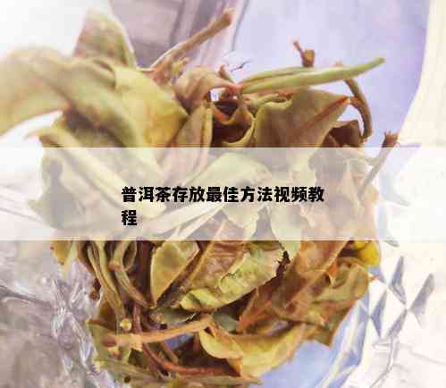 普洱茶存放更佳方法视频教程