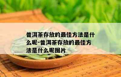 普洱茶存放的更佳方法是什么呢-普洱茶存放的更佳方法是什么呢图片