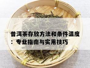 普洱茶存放方法和条件温度：专业指南与实用技巧