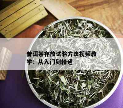 普洱茶存放试验方法视频教学：从入门到精通