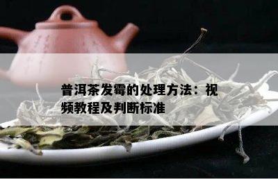 普洱茶发霉的处理方法：视频教程及判断标准