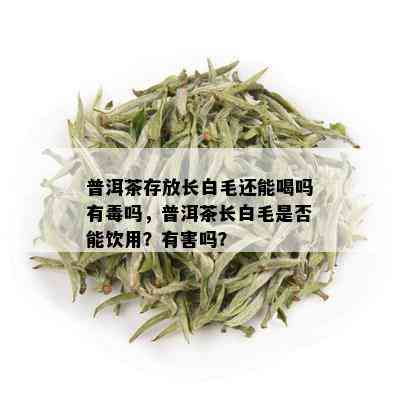 普洱茶存放长白毛还能喝吗有吗，普洱茶长白毛是否能饮用？有害吗？