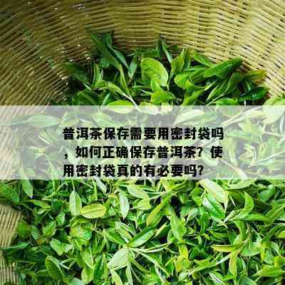 普洱茶保存需要用密封袋吗，如何正确保存普洱茶？使用密封袋真的有必要吗？