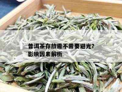 普洱茶存放需不需要避光？影响因素解析