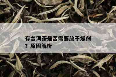 存普洱茶是否需要放干燥剂？原因解析