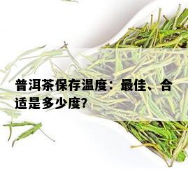 普洱茶保存温度：更佳、合适是多少度？