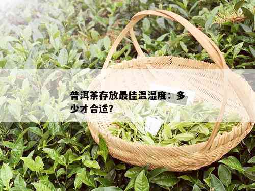 普洱茶存放更佳温湿度：多少才合适？