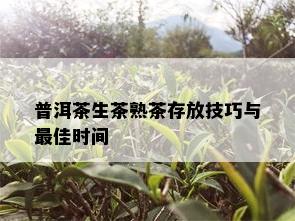 普洱茶生茶熟茶存放技巧与更佳时间