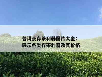 普洱茶存茶利器图片大全：展示各类存茶利器及其价格