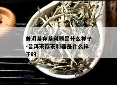 普洱茶存茶利器是什么样子-普洱茶存茶利器是什么样子的