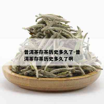 普洱茶存茶历史多久了-普洱茶存茶历史多久了啊