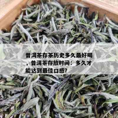 普洱茶存茶历史多久更好喝，普洱茶存放时间：多久才能达到更佳口感？