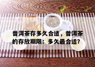 普洱茶存多久合适，普洱茶的存放期限：多久最合适？