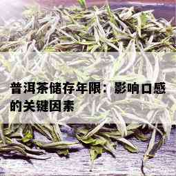 普洱茶储存年限：影响口感的关键因素