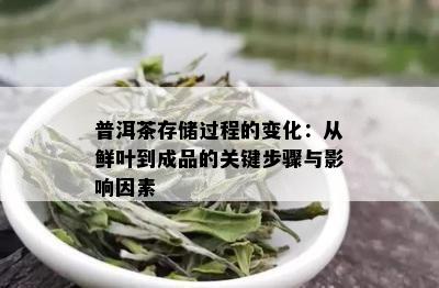 普洱茶存储过程的变化：从鲜叶到成品的关键步骤与影响因素