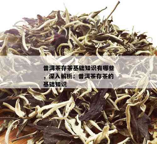 普洱茶存茶基础知识有哪些，深入解析：普洱茶存茶的基础知识